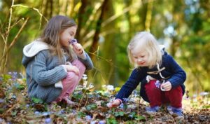 PEARL educational activities